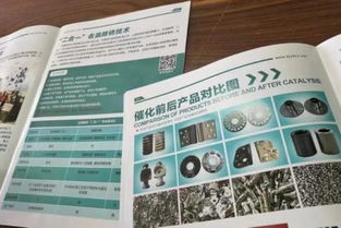 環(huán)保專利技術(shù)轉(zhuǎn)讓之困 ?；煞峙浞綘?zhēng)議與近百?gòu)S家投產(chǎn)失敗引發(fā)的思考